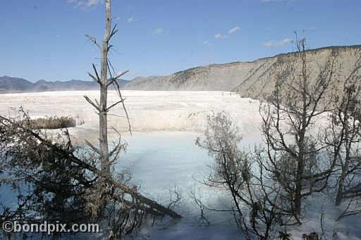 Yellowstone Park