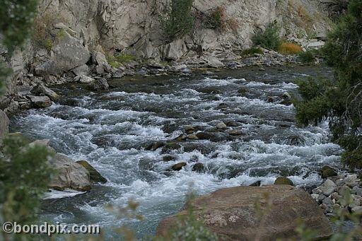 Yellowstone Park