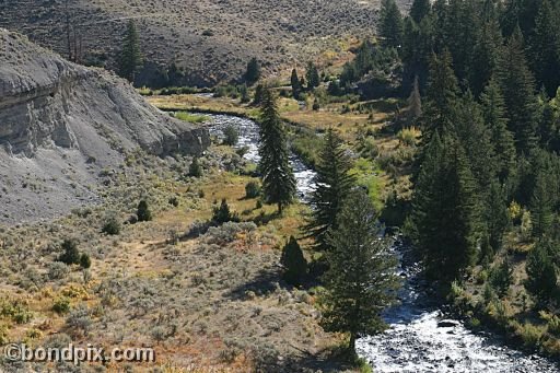 Yellowstone Park