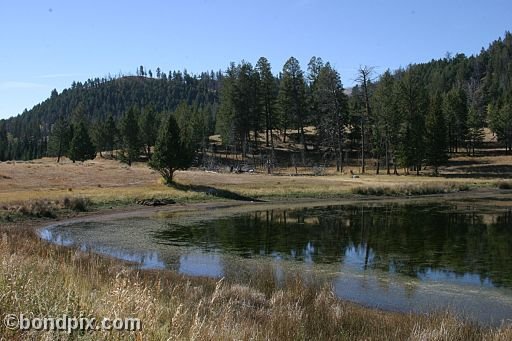 Yellowstone Park