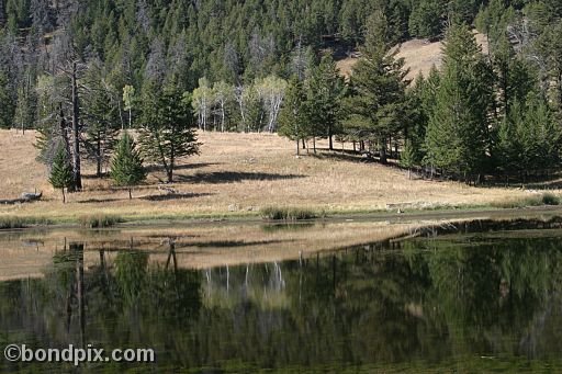 Yellowstone Park