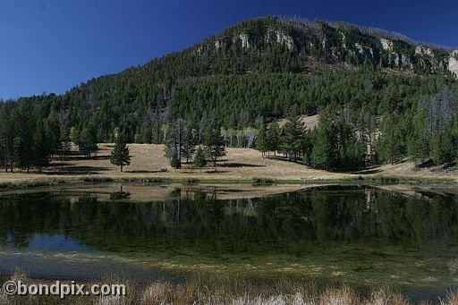 Yellowstone Park