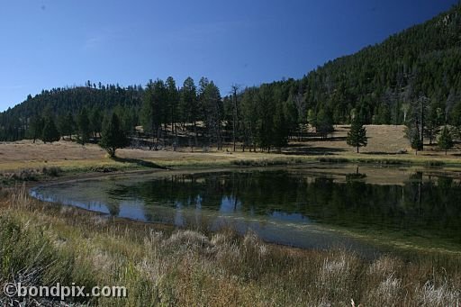 Yellowstone Park