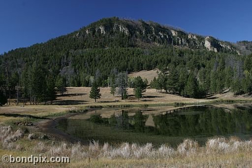 Yellowstone Park