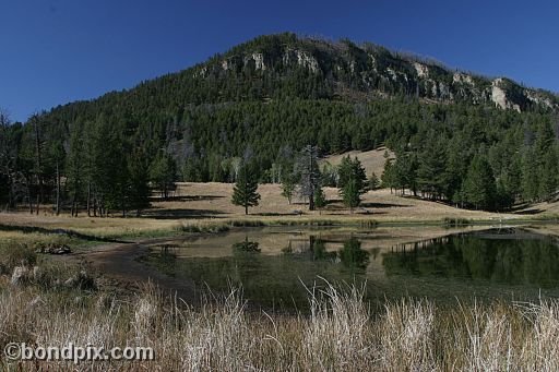 Yellowstone Park