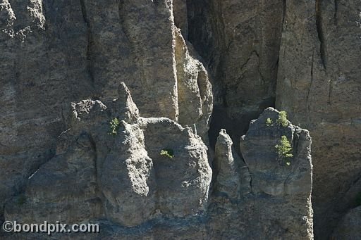 Rock formations in Yellowstone Park