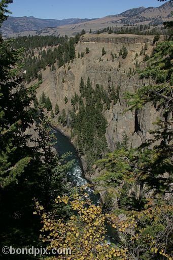 Yellowstone Park