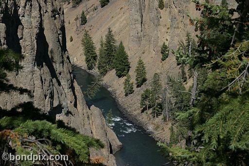 Yellowstone Park