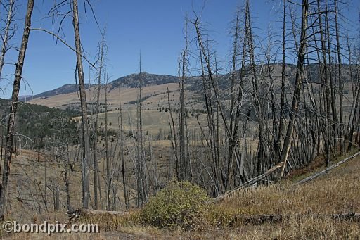 Yellowstone Park