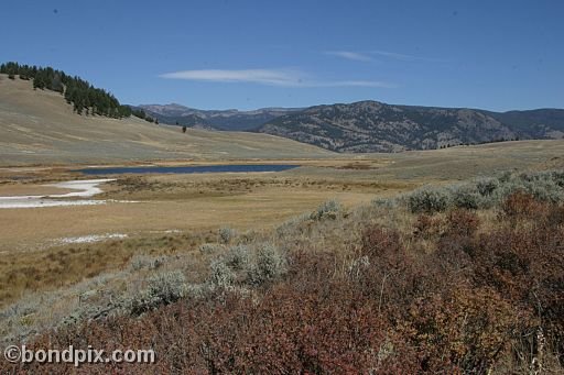 Yellowstone Park