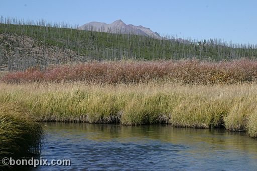 Yellowstone Park