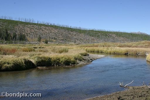 Yellowstone Park