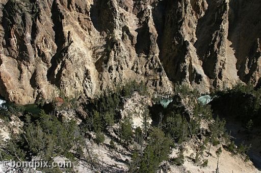 The Grand Canyon of Yellowstone Park