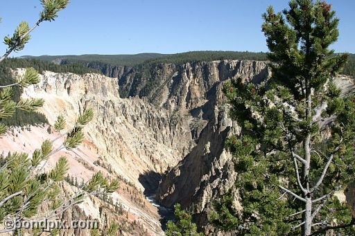 The Grand Canyon of Yellowstone Park