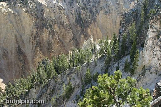 The Grand Canyon of Yellowstone Park