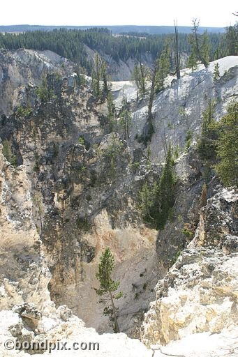 The Grand Canyon of Yellowstone Park