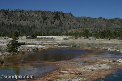 Yellowstone Park