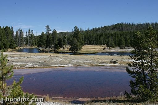 Yellowstone Park