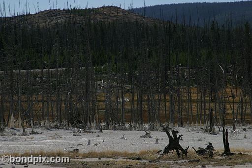 Yellowstone Park