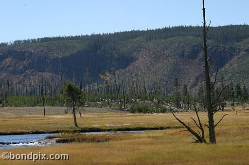 Yellowstone Park