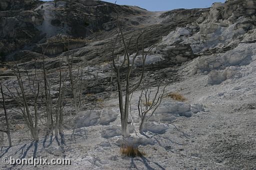 Some of the natural features of Yellowstone Park