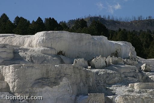 Some of the natural features of Yellowstone Park