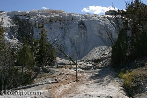 Some of the natural features of Yellowstone Park