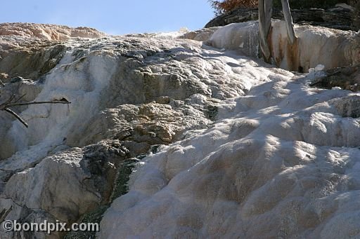 Some of the natural features of Yellowstone Park