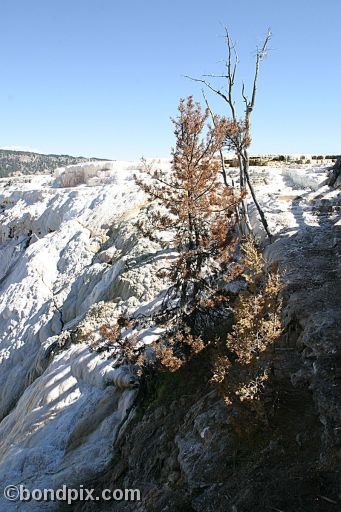 Some of the natural features of Yellowstone Park