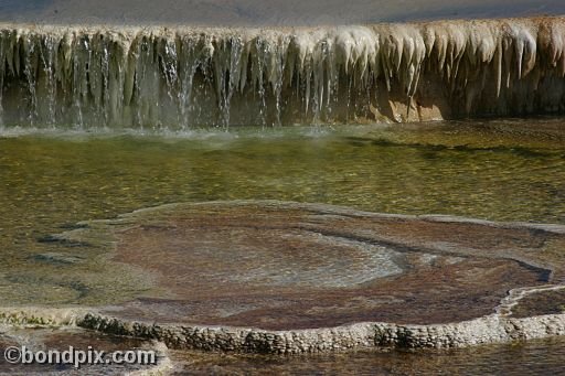 Some of the natural features of Yellowstone Park