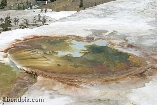 Some of the natural features of Yellowstone Park