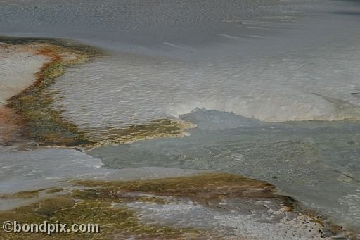 Some of the natural features of Yellowstone Park