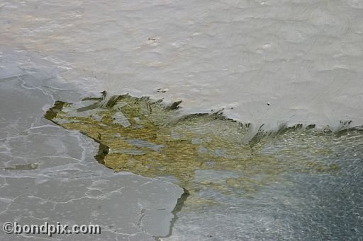 Some of the natural features of Yellowstone Park