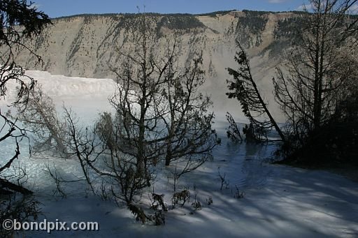 Some of the natural features of Yellowstone Park