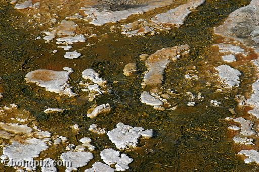 Some of the natural features of Yellowstone Park