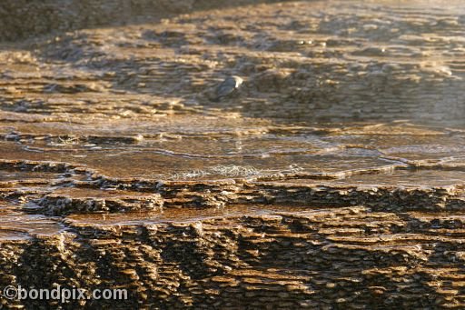 Some of the natural features of Yellowstone Park