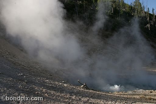 Some of the natural features of Yellowstone Park