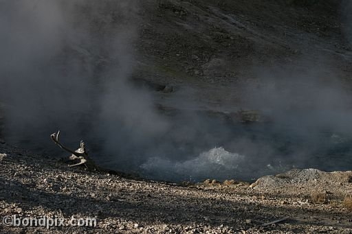 Some of the natural features of Yellowstone Park