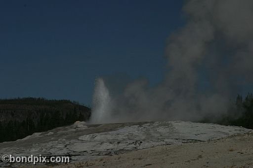 Old Faithful geyser errupts in Yellowstone Park