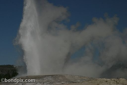 Old Faithful geyser errupts in Yellowstone Park