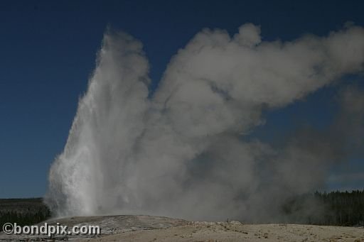 Old Faithful geyser errupts in Yellowstone Park