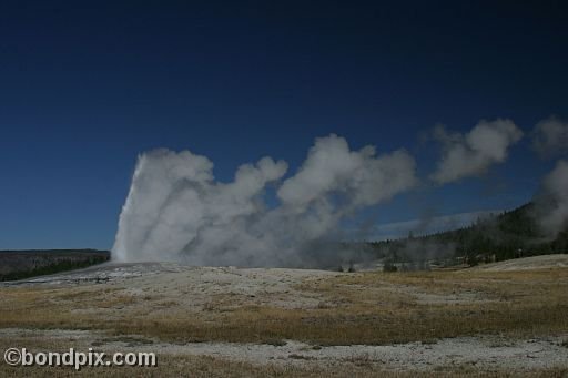 Old Faithful geyser errupts in Yellowstone Park