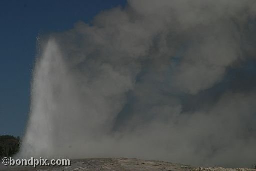 Old Faithful geyser errupts in Yellowstone Park