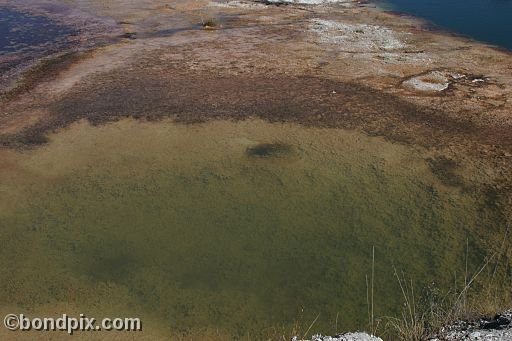 Some of the natural features of Yellowstone Park