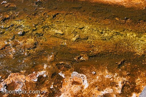 Some of the natural features of Yellowstone Park