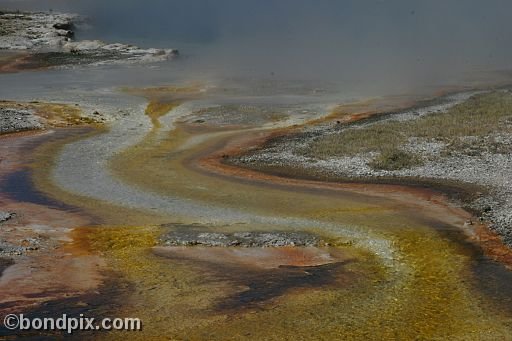 Some of the natural features of Yellowstone Park