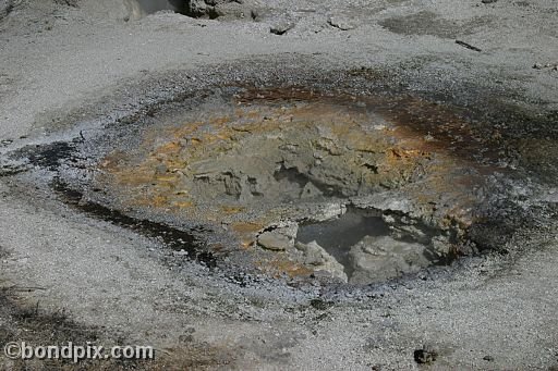 Some of the natural features of Yellowstone Park