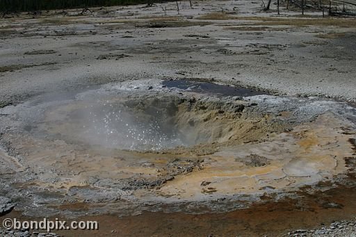 Some of the natural features of Yellowstone Park