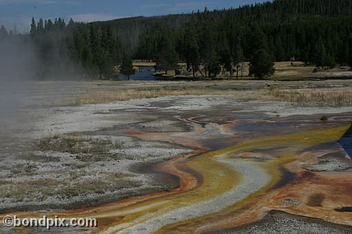 Some of the natural features of Yellowstone Park