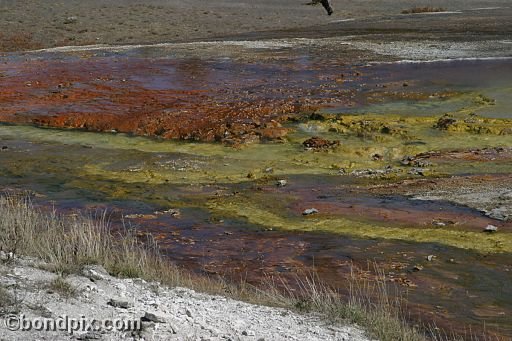 Some of the natural features of Yellowstone Park